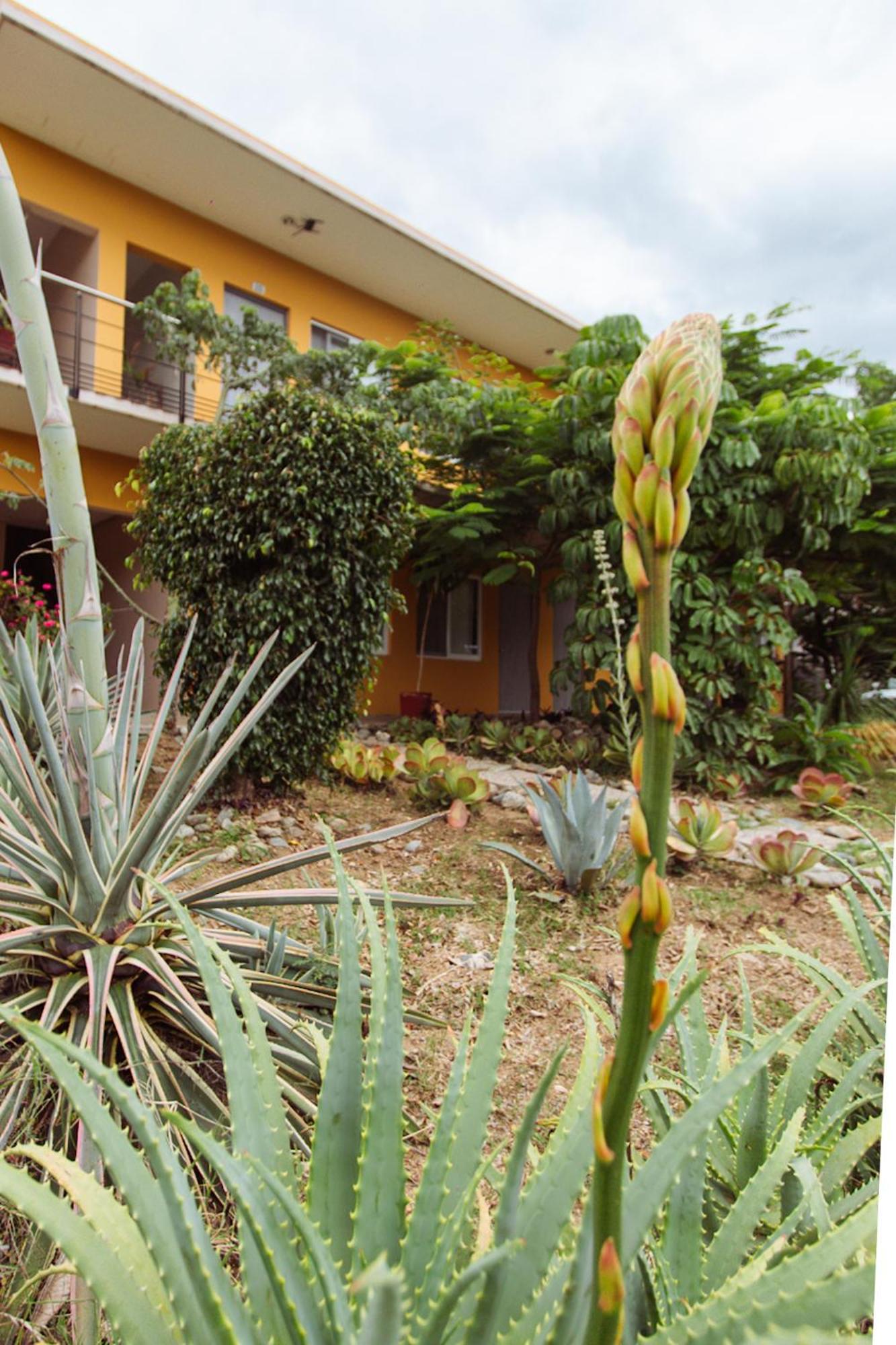 Hotel Guiva San Pablo Hacienda Blanca Екстер'єр фото